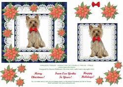 Yorkshire Terrier Poinsettias Lace & Pearls Yorkie Xmas