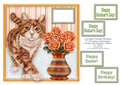 Ginger Tabby Cat Tiptoeing Round The Roses - 8 x 8 Card Topper
