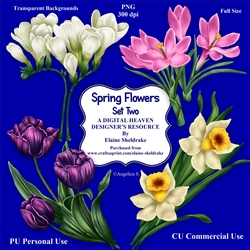 Spring Flowers Set Two- CU Designer Resource For Commercial Use Card Making Scrapbooking etc. - Full Size - PNG
