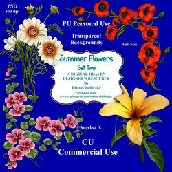 Summer Flowers Set Two - CU Designer Resource For Commercial Use, Personal Use Card Making Scrapbooking etc. - Full Size - PNG