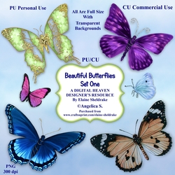 Beautiful Butterflies - Set One - CU Designer Resource For Commercial Use, Personal Use, Card Making, Scrapbooking etc. - Full Size - PNG