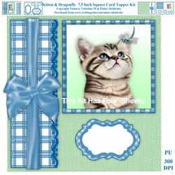 Kitten And Dragonfly 7.5 Inch Square Card Topper Kit & Assorted Greetings