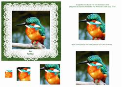 Kingfisher Bird Just for You Quick Square Pyramid Card