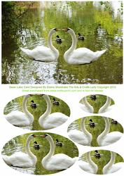 Swans & Ducks on Swan Lake Oval Pyramid Card