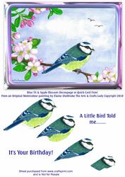 Blue Tit & Apple Blossom Bird Decoupage or Quick Card Front