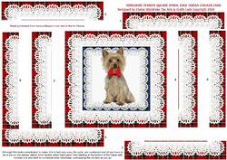 Yorkshire Terrier Dog Square Spiral Edge Tartan Stacker Card
