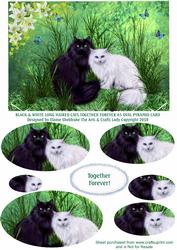Black & White Long Haired Cats Together Forever A5 Card