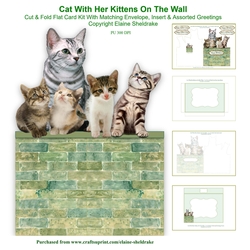 Cat With Her Kittens On The Wall - Cut & Fold 7 x 5 Card Kit