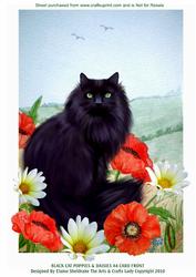 Black Cat Poppies & Daisies A4 Card Front
