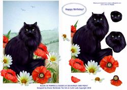Black Cat Poppies & Daisies A5 Decoupage Card Front