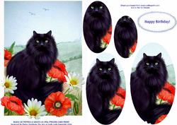 Black Cat Poppies & Daisies A5 Oval Pyramid Card Front