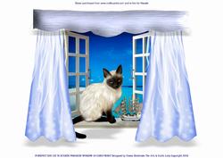Purrfect Day Cat in Seaside Paradise Window A4 Card Front