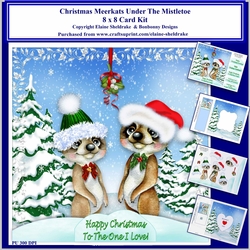 8 x 8 Christmas Meerkats Under The Mistletoe Card Kit With Assorted Greetings