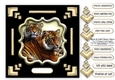 Black & Gold Chinese Tigers 7.5 x 7.5 Card Topper With Decoupage and Greetings Tags