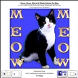 Meow Meow Black & White Kitten On Blue - 6 x 6 Card Kit