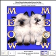 Meow Meow Colourpoint Kittens On Blue - 6 x 6 Card Kit