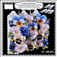 Pansy Perfection - Concertina Card Kit With Greetings Tags and Matching Envelope