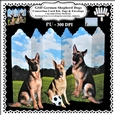 GSD German Shepherd Dogs - Concertina Card Kit With Greetings Tags Decoupage & Matching Envelope