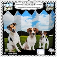 Jack Russell Dogs - Concertina Card Kit With Greetings Tags Decoupage & Matching Envelope