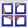 Floral Pansy Frames Set Three - 4 x PNG Photo Frames With Transparent Backgrounds