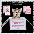 Laughing Kitten In A Pink Box - Box Card Kit With Greetings Tags, Instructions And Matching Envelope