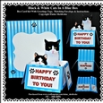Black & White Cats In A Blue Box - Box card Kit With Greetings Tags, Instructions And Matching Envelope