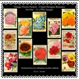 Twelve Vintage Flower Packets - Set One - Printable Clipart - Designers Resource