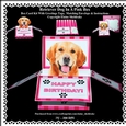 Golden Retriever Dog In A Pink Box - Box Card Kit With Greetings Tags, Instructions And Matching Envelope