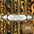 Big Cat Fur - Ten 12 x 12 Printable Backing Paper Set One