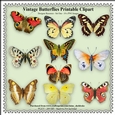 Vintage Butterflies - Printable Clipart - Set One - Designers Resource Kit