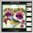 Bluetit Lace & Fuschias 6 x 6 Card Kit With Decoupage Insert Envelope Gift Cards & Masses Of Tags