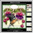Finch Lace & Fuschia Flowers 6 x 6 Card Kit With Decoupage Insert Envelope Gift Cards & Masses Of Tags