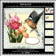 Finch Lace & Iris Flowers 6 x 6 Card Kit With Decoupage Insert Envelope Gift Cards & Masses Of Tags