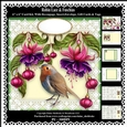 Robin Lace & Fuschia Flowers 6 x 6 Card Kit With Decoupage Insert Envelope Gift Cards & Masses Of Tags