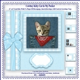 Cowboy Kitty In My Pocket - Printable 6 x 6 Card Kit With Decoupage, Insert, Envelope & Masses Of Tags