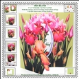 Iris Blush - 6 x 6 Floral Printable Cut Out Card Kit With Decoupage, Insert, Envelope, Tags & Instructions