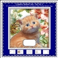 Printable Country Kitten Cat Card Kit - Set No: 1