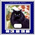 Printable Country Kitten Cat Card Kit - Set No: 3