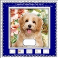 Printable Country Puppy Dog Card Kit - Set No: 4