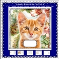 Printable Country Kitten Cat Card Kit - Set No: 4