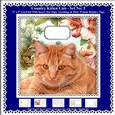 Printable Country Kitten Cat Card Kit - Set No: 5
