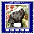 Printable Country Puppy Dog Card Kit - Set No: 6
