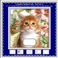 Printable Country Kitten Cat Card Kit - Set No: 6