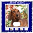Printable Country Puppy Dogs Card Kit - Set No: 7