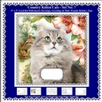Printable Country Kitten Cat Card Kit - Set No: 7