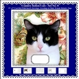 Printable Country Kitten Cat Card Kit - Set No: 8