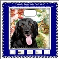 Printable Country Puppy Dogs Card Kit - Set No: 9