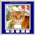 Printable Country Kitten Cat Card Kit - Set No: 10