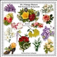 Printable Clipart - Vintage Flowers - Designer Resource - 15 x Images With Transparent Backgrounds - CU/PU