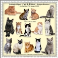 Printable Clipart - Cats & Kittens - Designer Resources - 14 x Images With Transparent Backgrounds - CU/PU